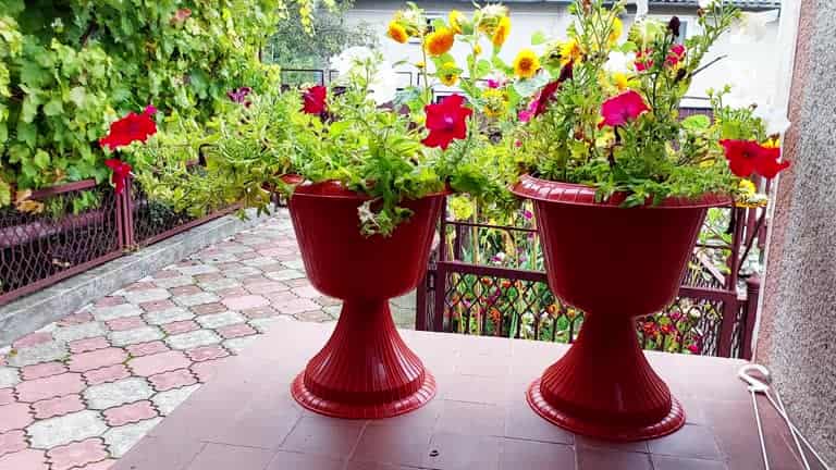 گلدان پلاستیکی پایه‌ دار ترکیب زیبایی و کار برد در دکور خانه